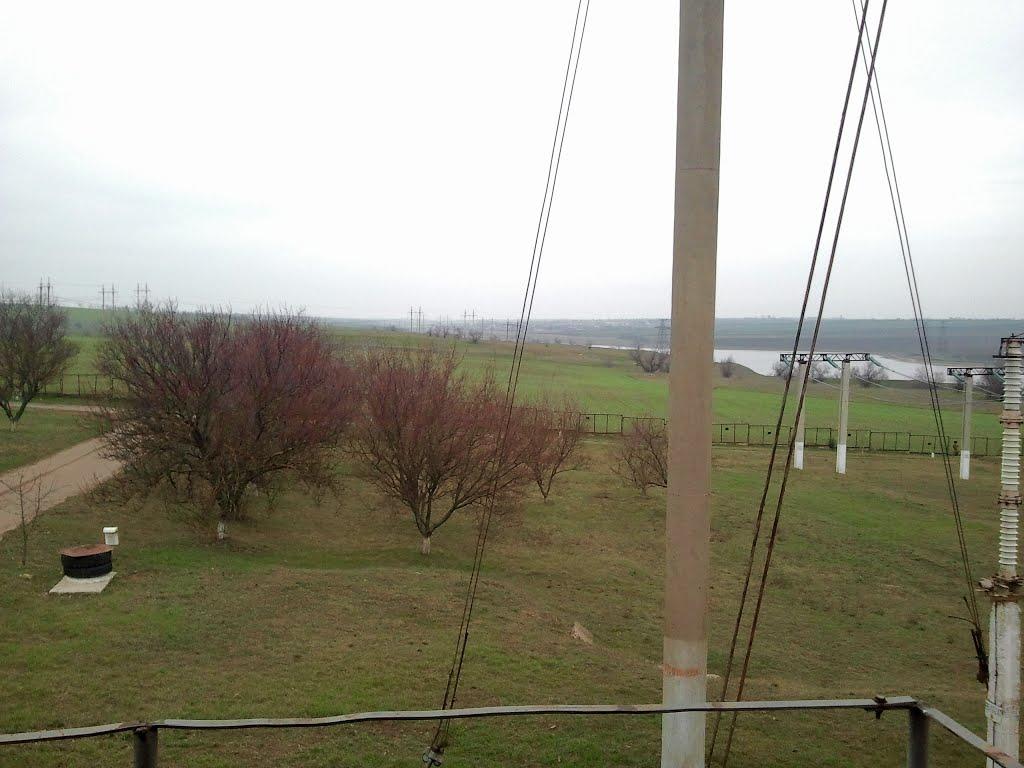 Нова Вільшанка з panoramio.com