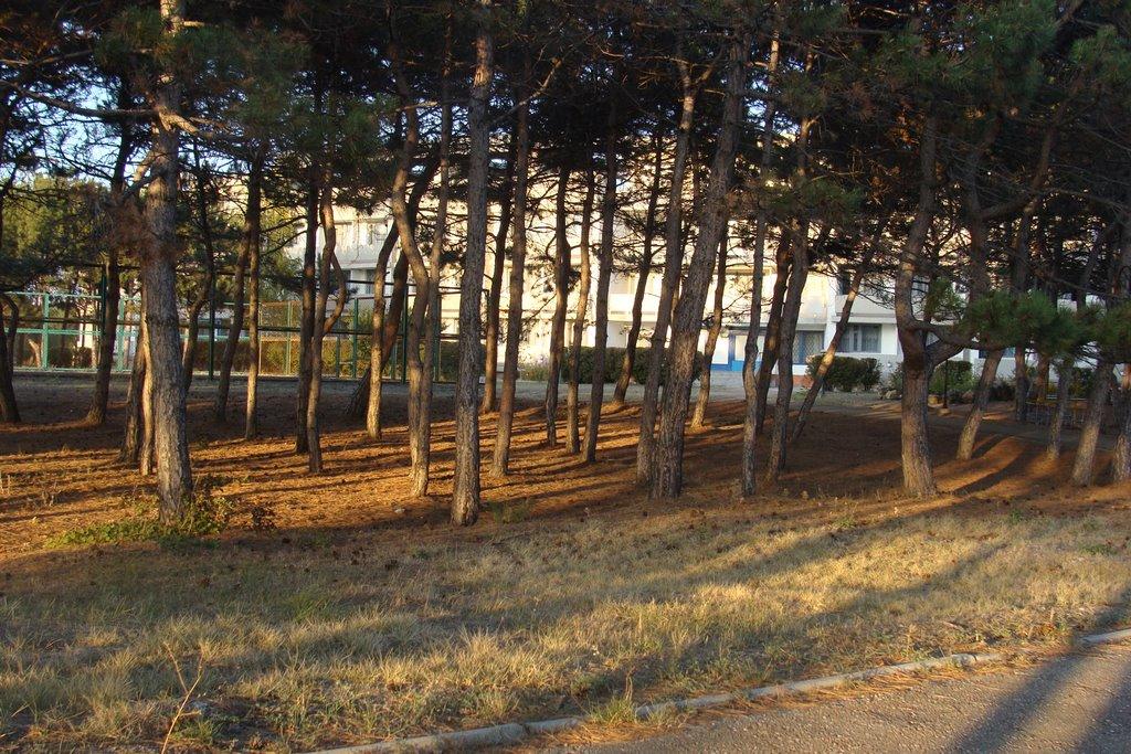 Піщане з panoramio.com - Песчаное
