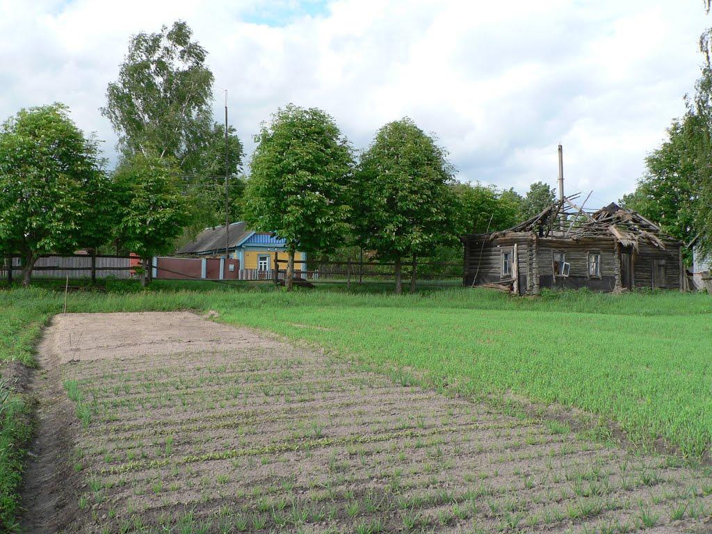 Ближнє з panoramio.com - Ближнє