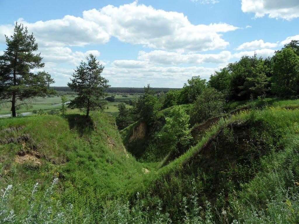 Литовка з panoramio.com - Литовка