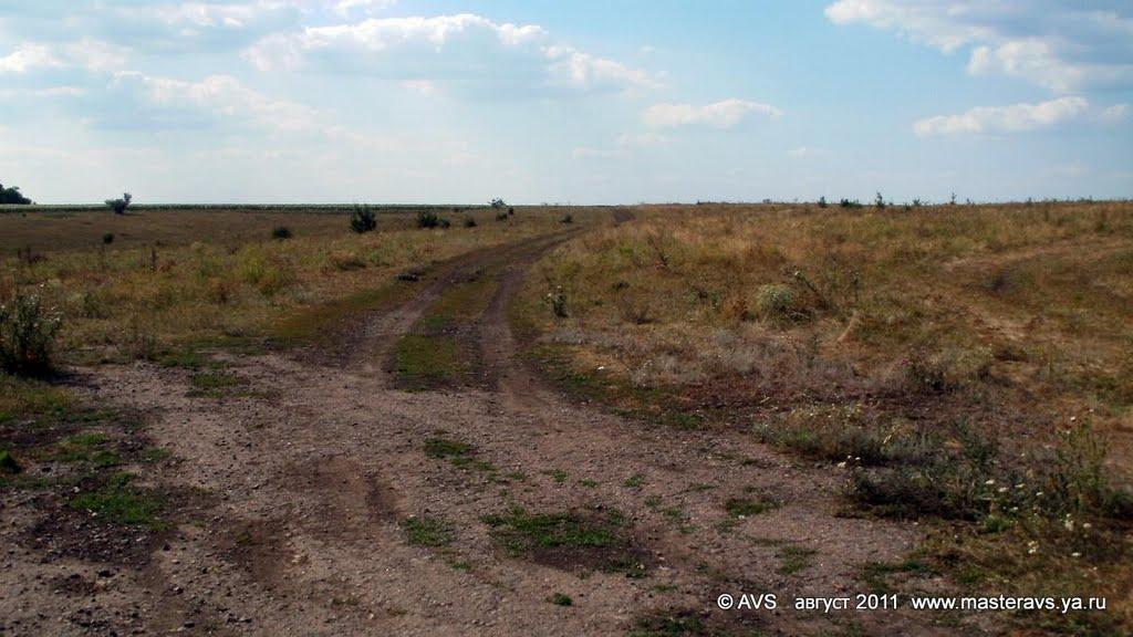 Новомаркове з panoramio.com - Новомаркове