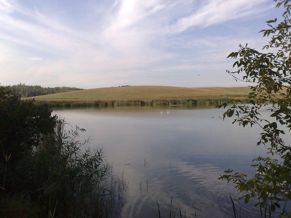 Махаринці з panoramio.com - Махаринцы