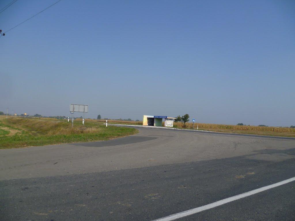 Великі Сорочинці з panoramio.com - Великие Сорочинцы