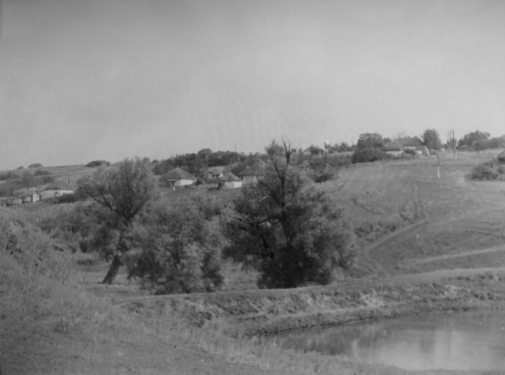Велика Шапківка з panoramio.com - Велика Шапківка