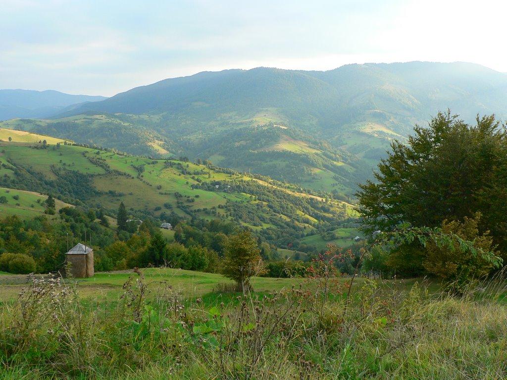 Стригальня з panoramio.com - Стригальняя