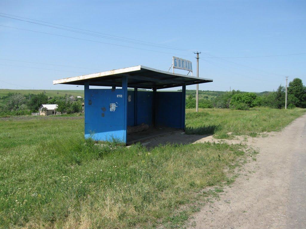 Калмиківка з panoramio.com - Калмиківка