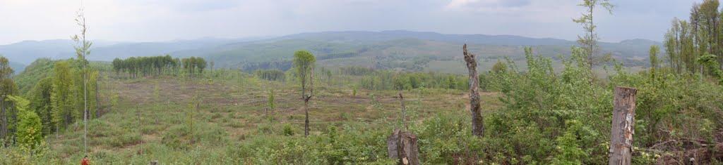 Бедевля з panoramio.com - Бедевля