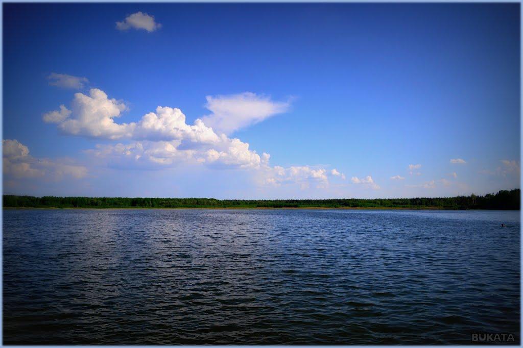 Лебедин з panoramio.com - Lebedyn
