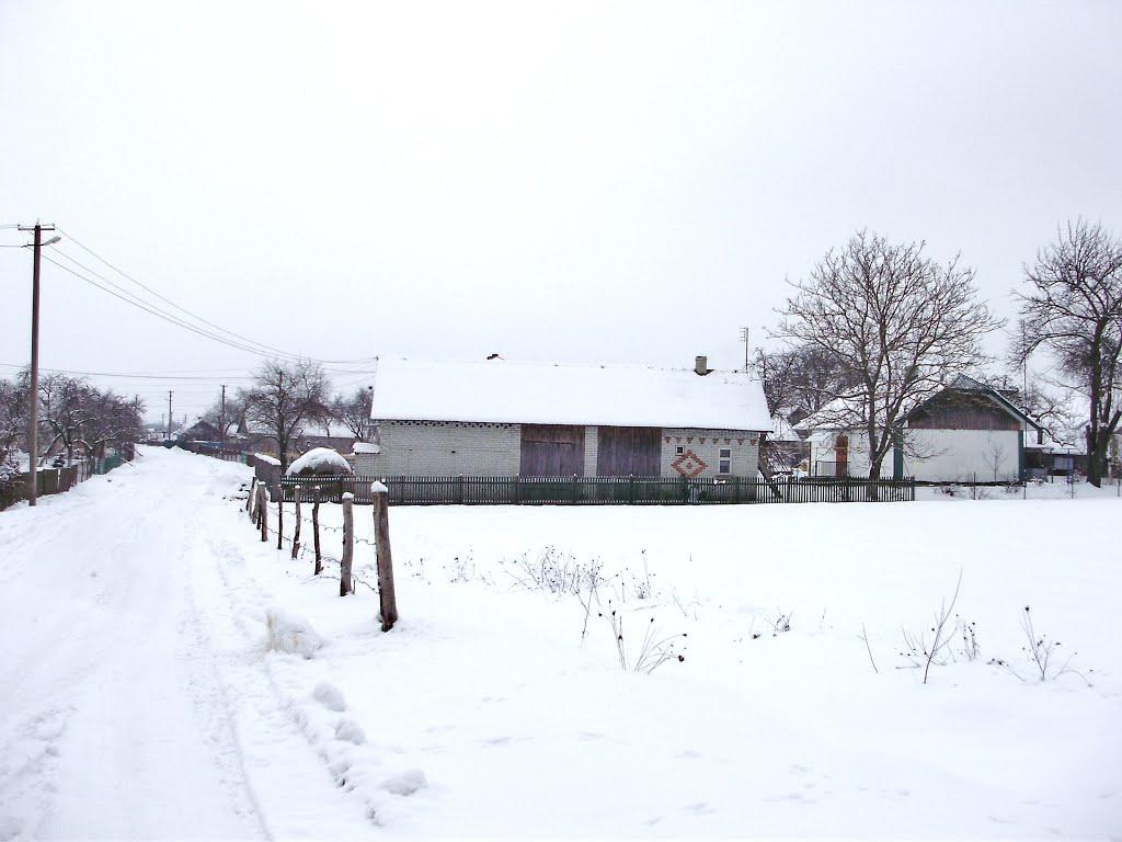 Острів з panoramio.com - Острів