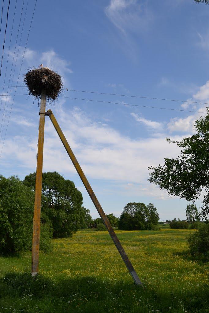 Облапи з panoramio.com - Облапи