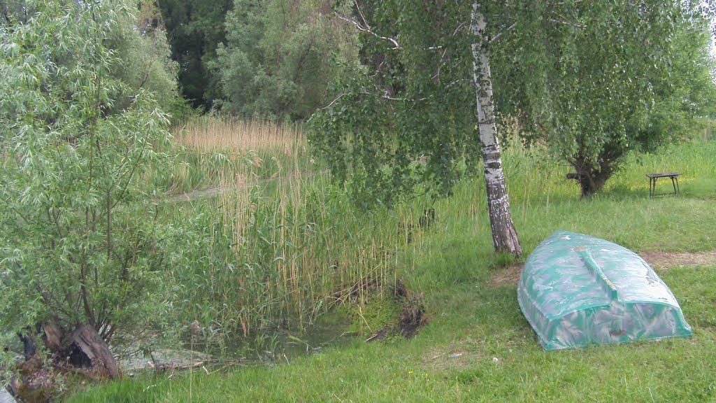 Васьківка з panoramio.com - Васьковка