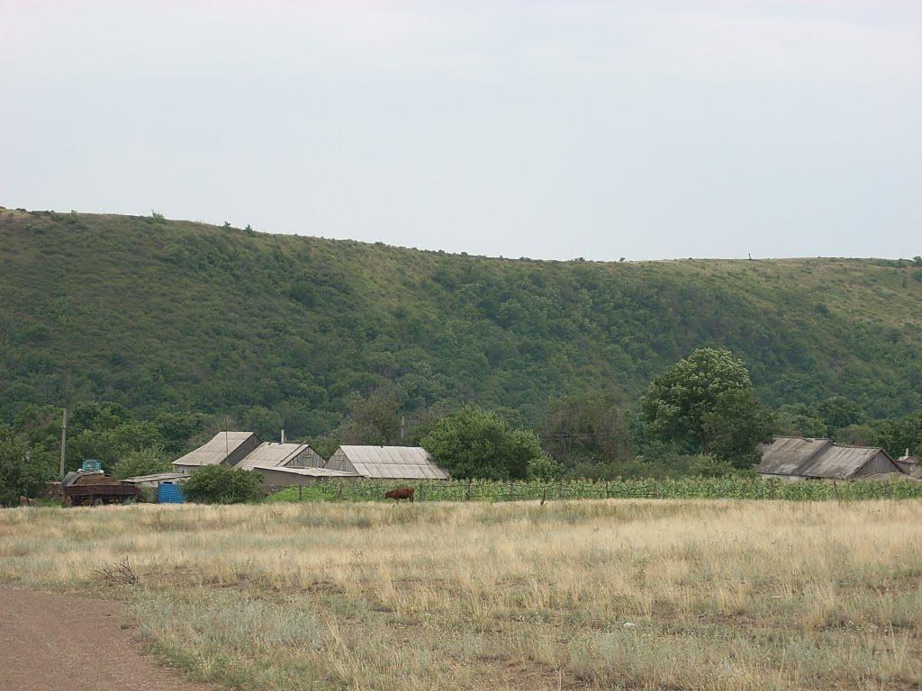 Грибуваха з panoramio.com - Грибуваха