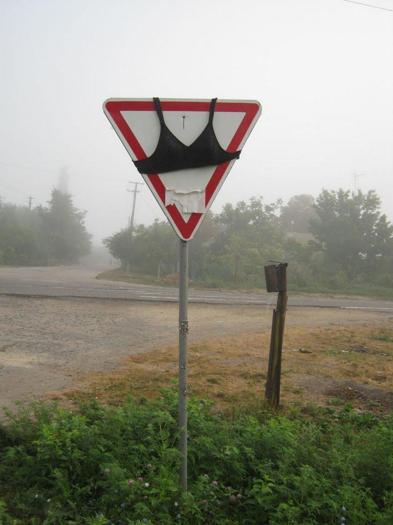 Красне з panoramio.com - Красне