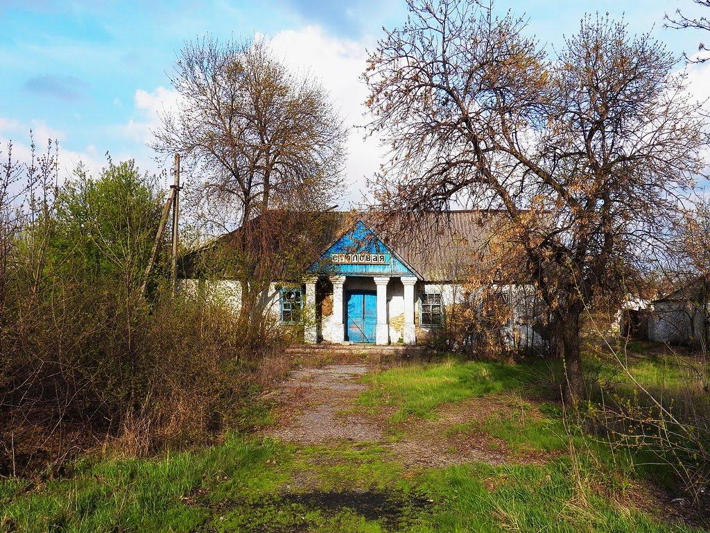 Савелівка з panoramio.com - Савелівка