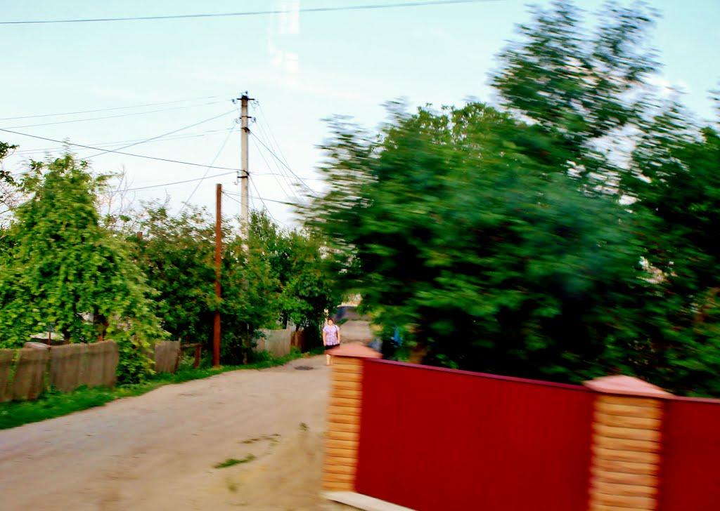 Лисянка з panoramio.com - Лысянка