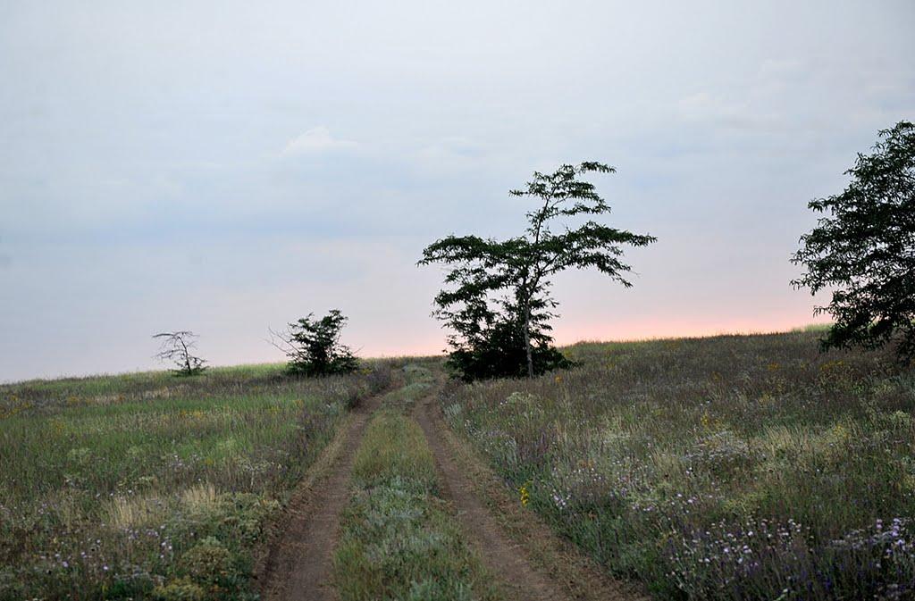 Мала Тернівка з panoramio.com - Мала Тернівка