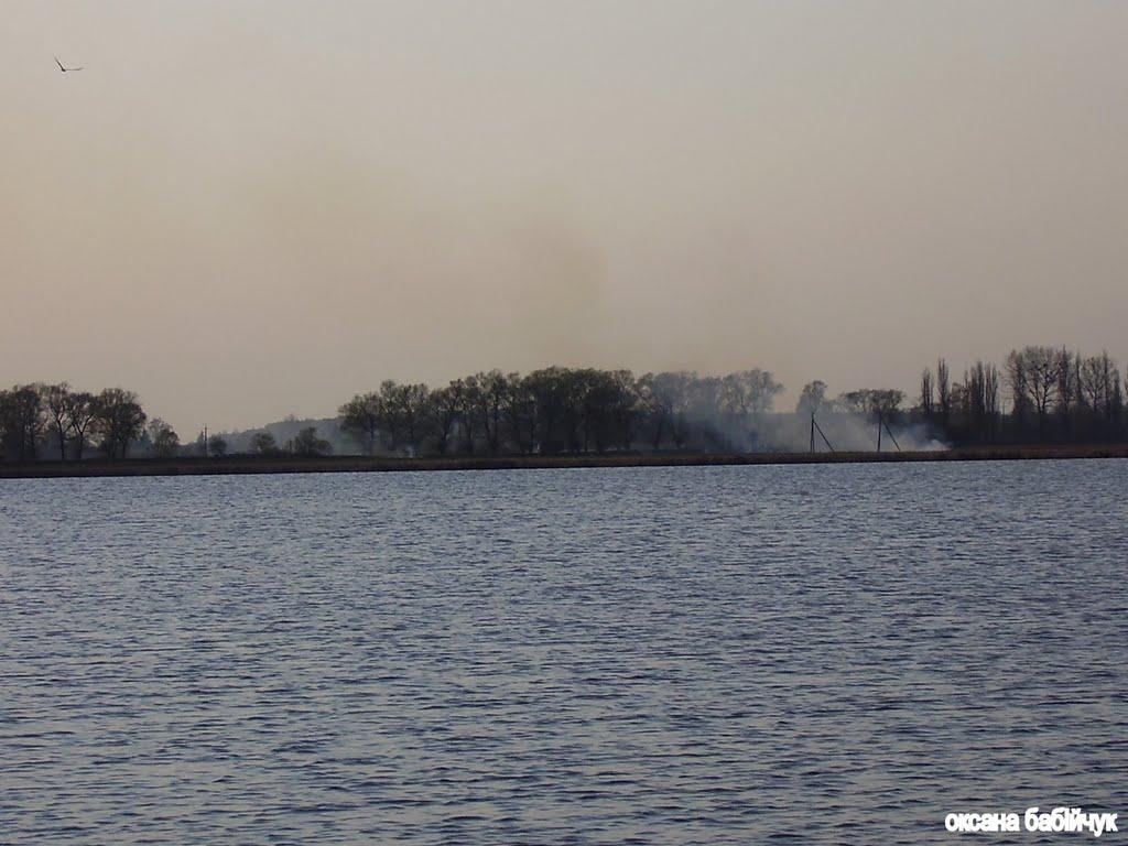 Павлівка з panoramio.com - Павлівка