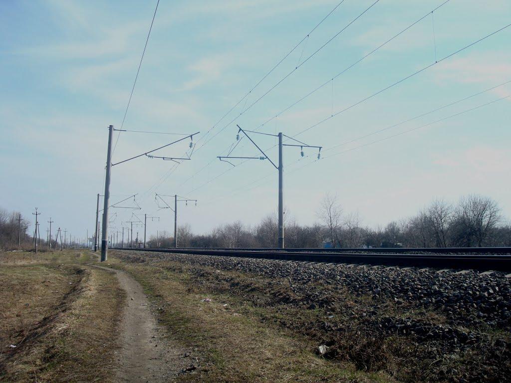 Радівці з panoramio.com - Радовцы