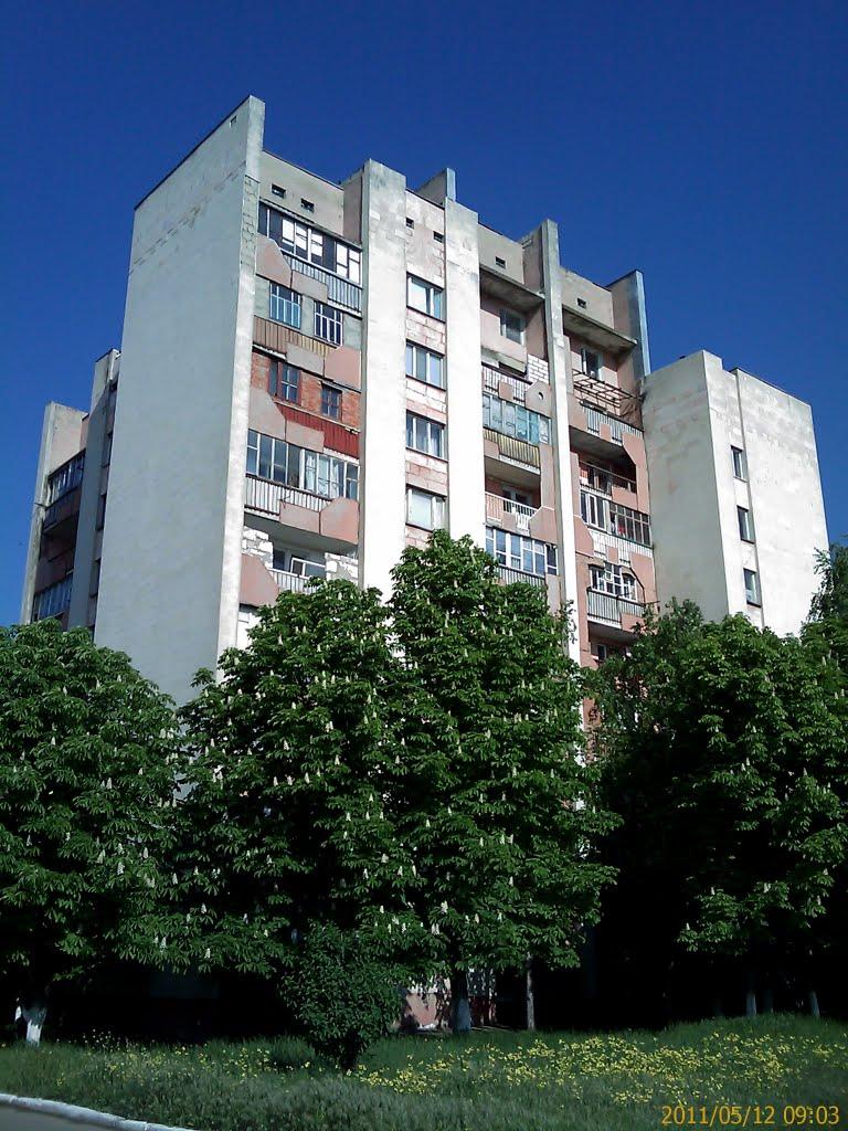 Павлівка з panoramio.com - Павлівка