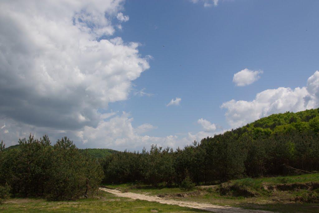 Козулька з panoramio.com - Козулька
