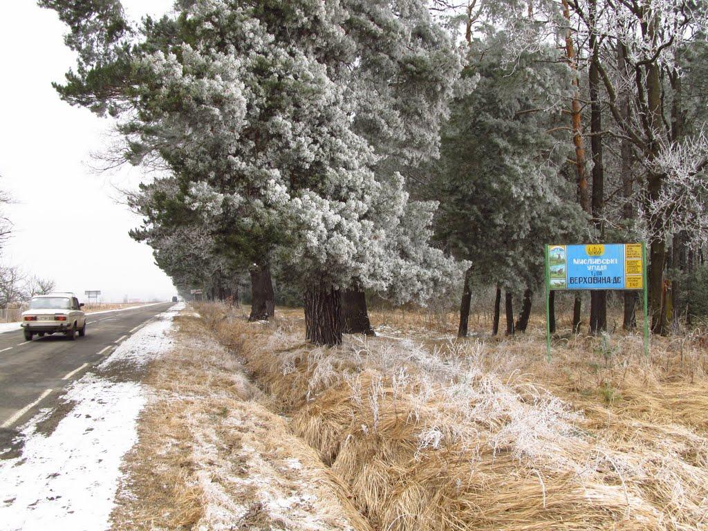 Солотвин з panoramio.com - Солотвин