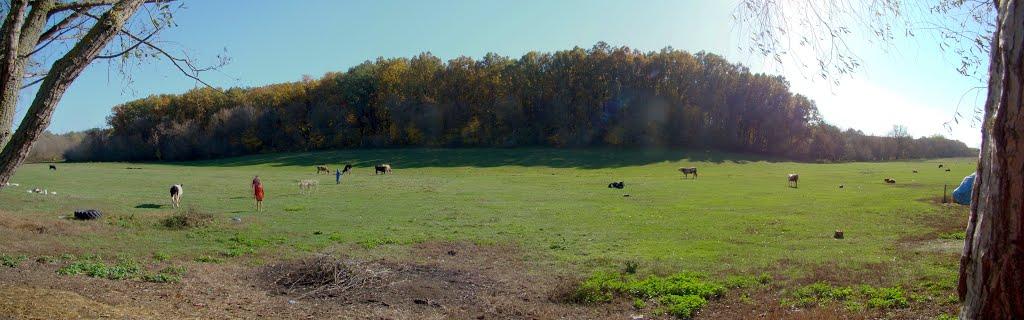 Несваткове з panoramio.com - Несваткове