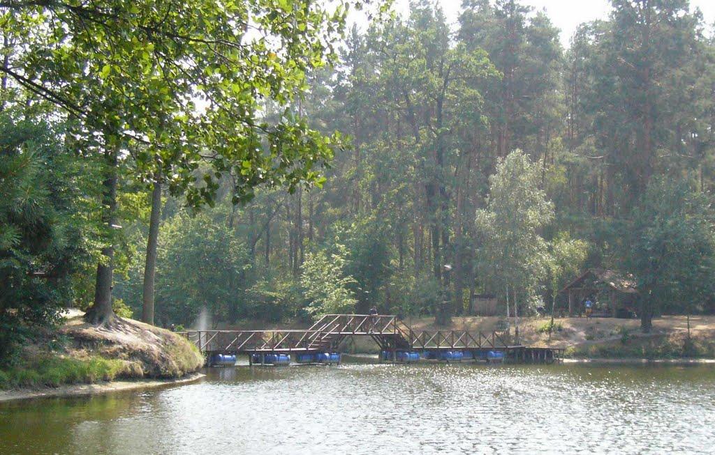 Клавдієво-Тарасове з panoramio.com - Клавдієво-Тарасове