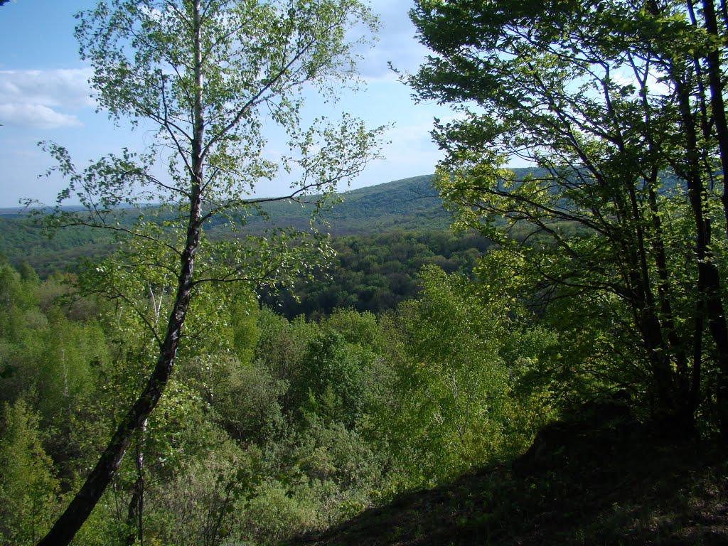 Іванківці з panoramio.com - Іванківці