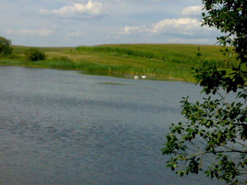 Меленці з panoramio.com - Меленці