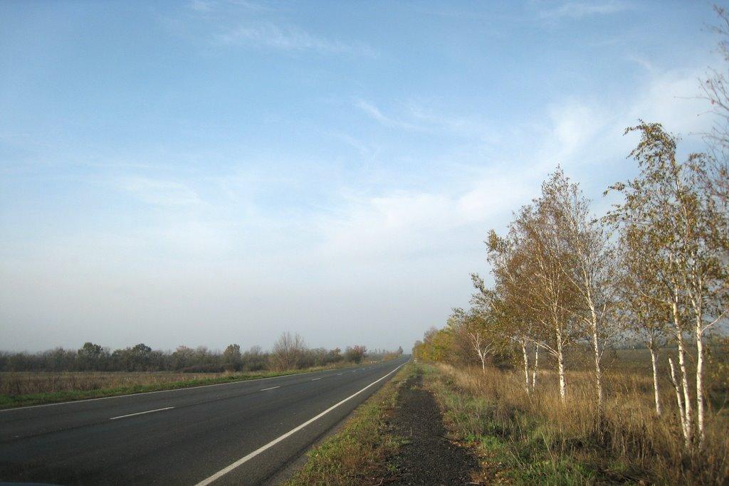 Кременівка з panoramio.com - Кременівка