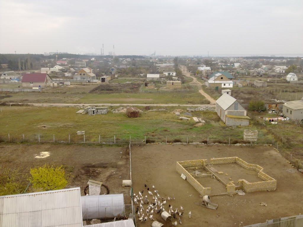 Галицинове з panoramio.com - Галициново