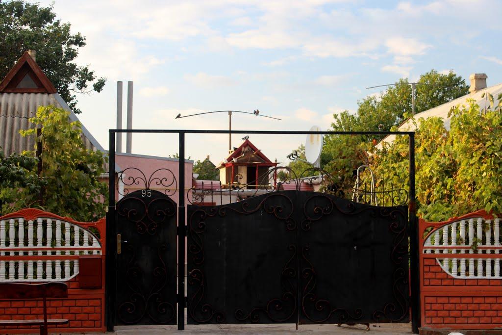 Новий Буг з panoramio.com - Новий Буг