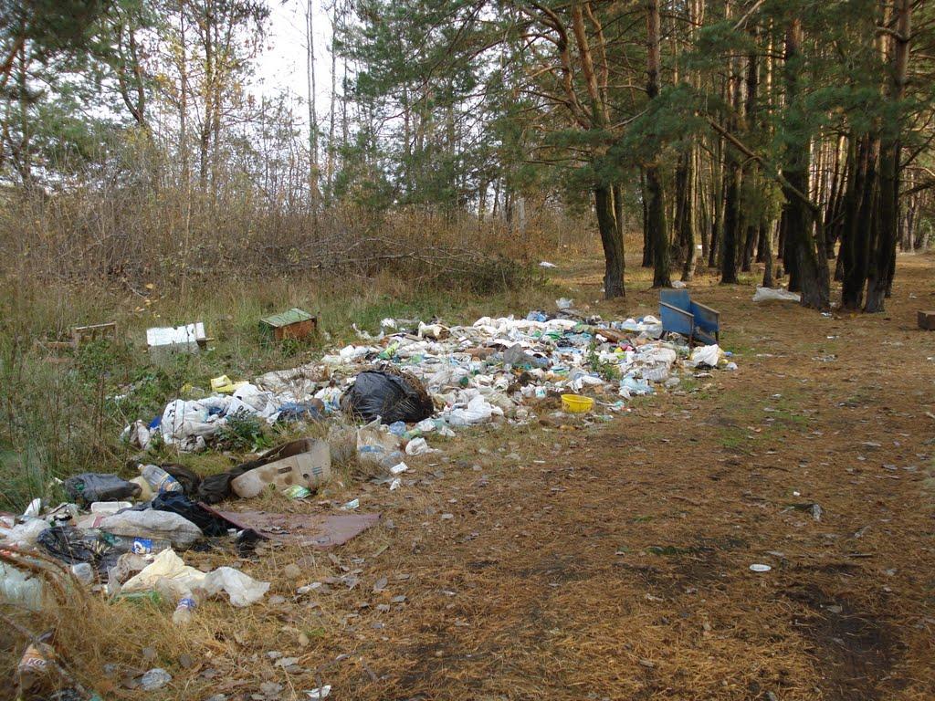 Глеваха з panoramio.com - Glevakha