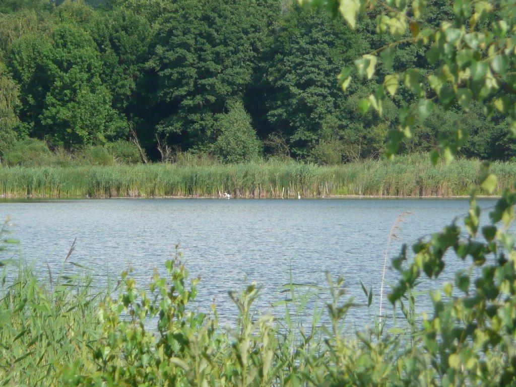 Лебедин з panoramio.com - Лебедин