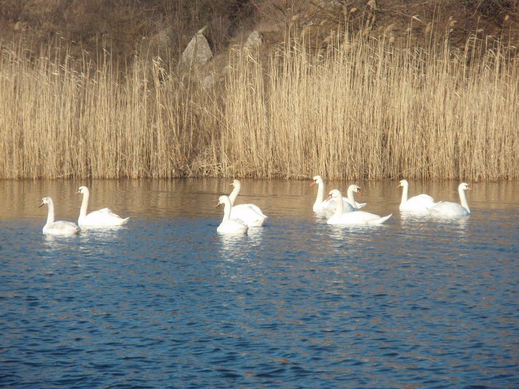 Бобринець з panoramio.com