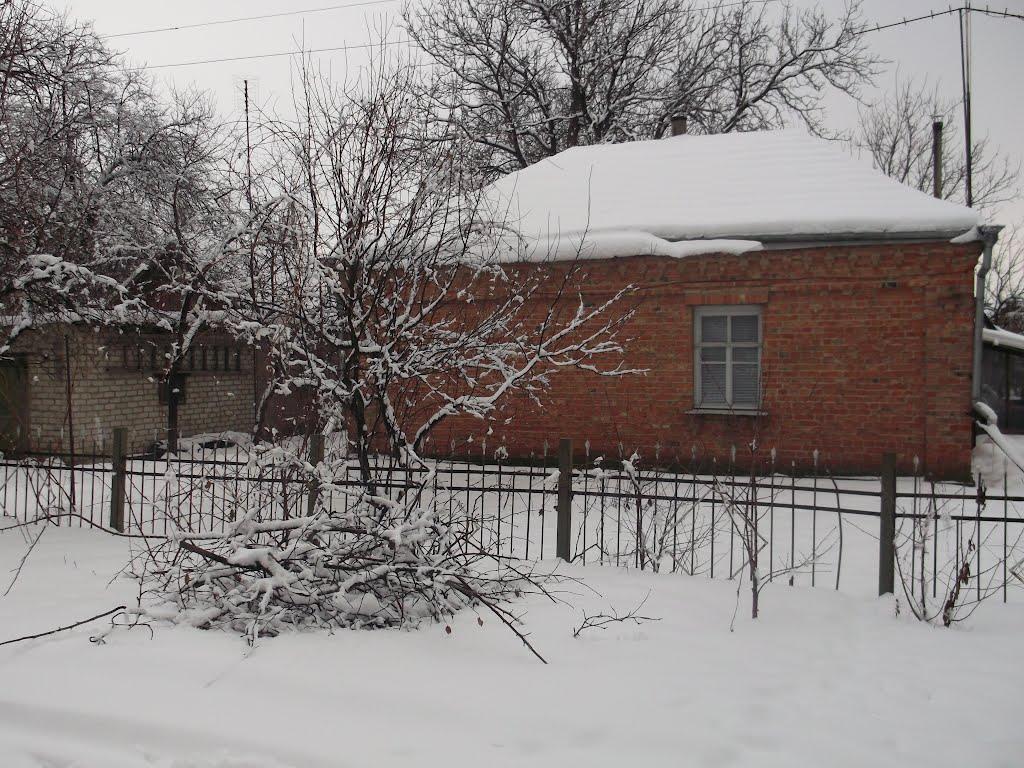 Криве Озеро з panoramio.com - Криве Озеро