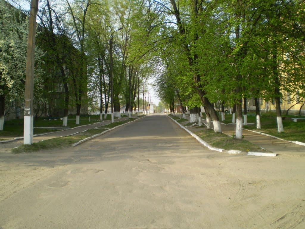Лебедин з panoramio.com - Лебедин