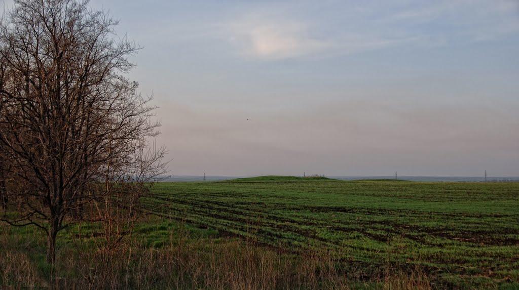 Кременівка з panoramio.com - Кременівка