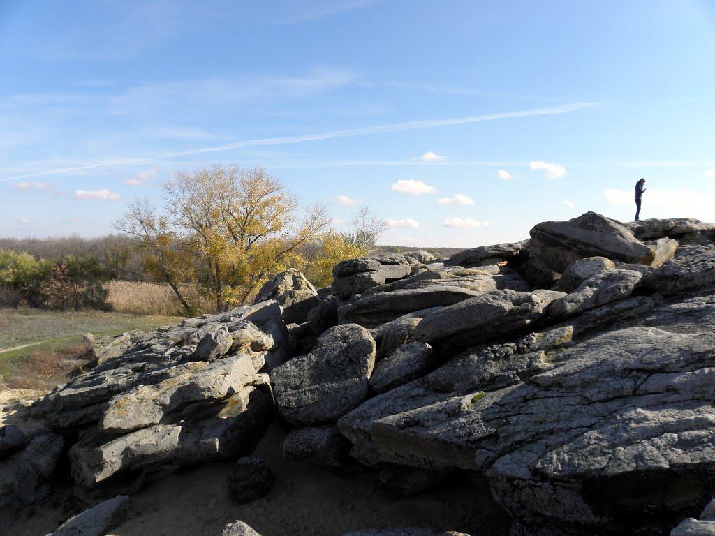 Новопилипівка з panoramio.com - Новопилиповка