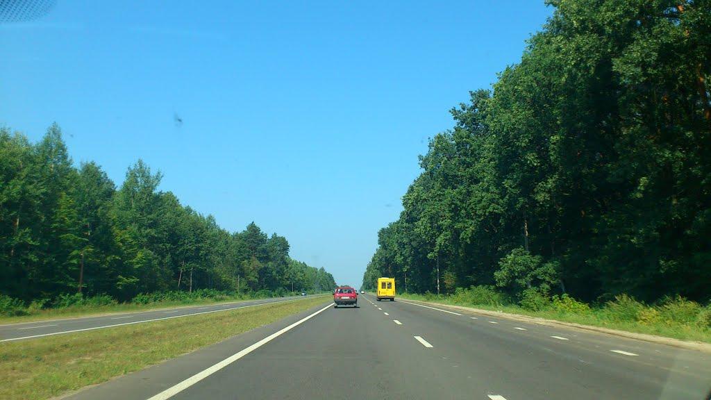 Бондарці з panoramio.com - Бондарці