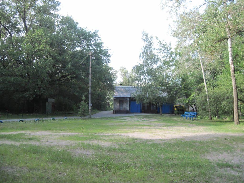 Кияшки з panoramio.com - Кияшки