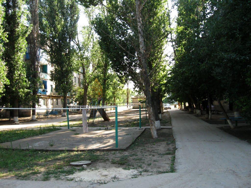 Чаплинка з panoramio.com - Чаплинка
