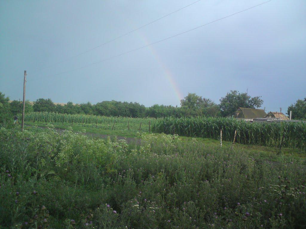 Олександрівка з panoramio.com - Олександрівка