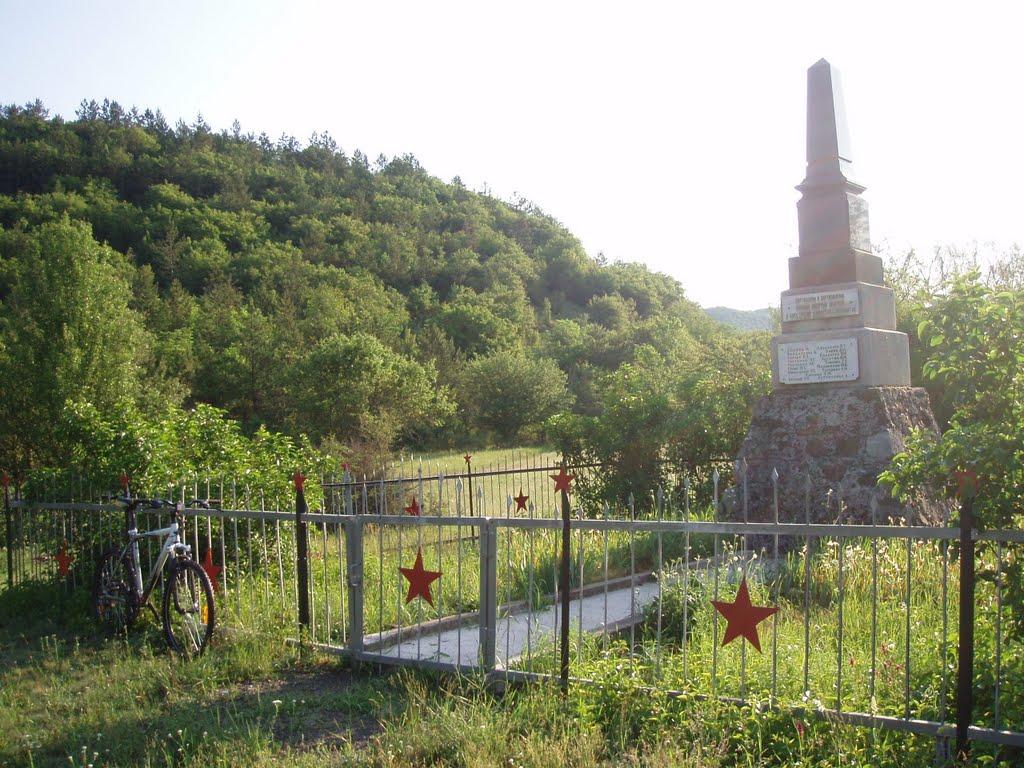 Партизанське з panoramio.com - Партизанське