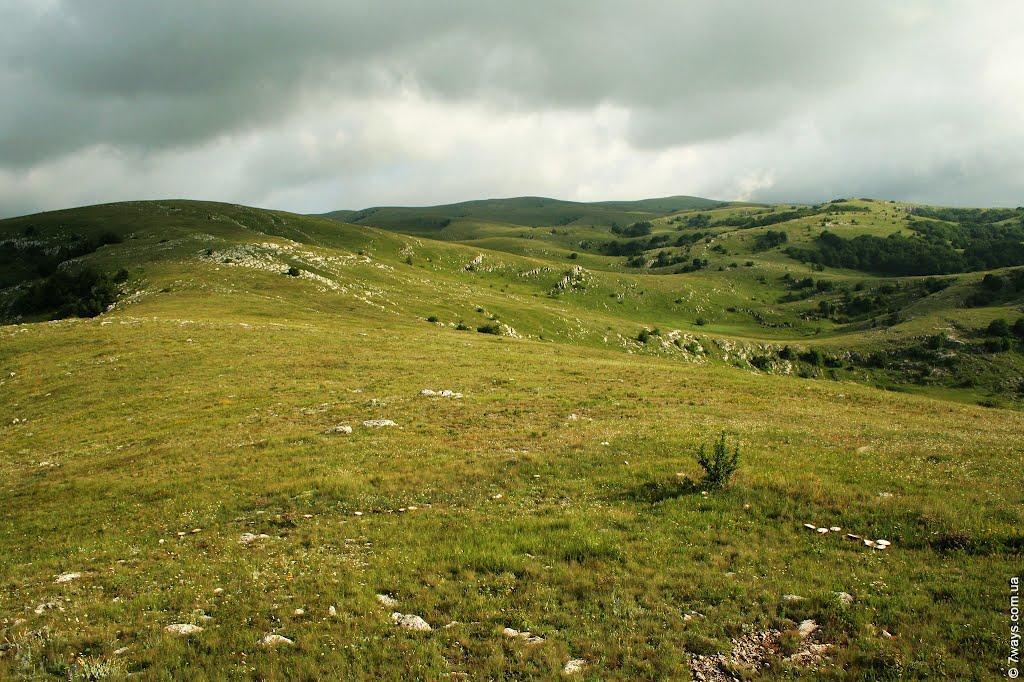 Пчолине з panoramio.com - Пчелиное