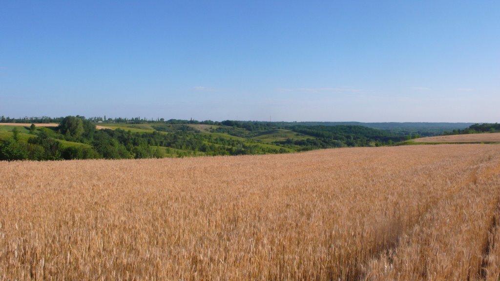 Шишаки з panoramio.com - Shishaki
