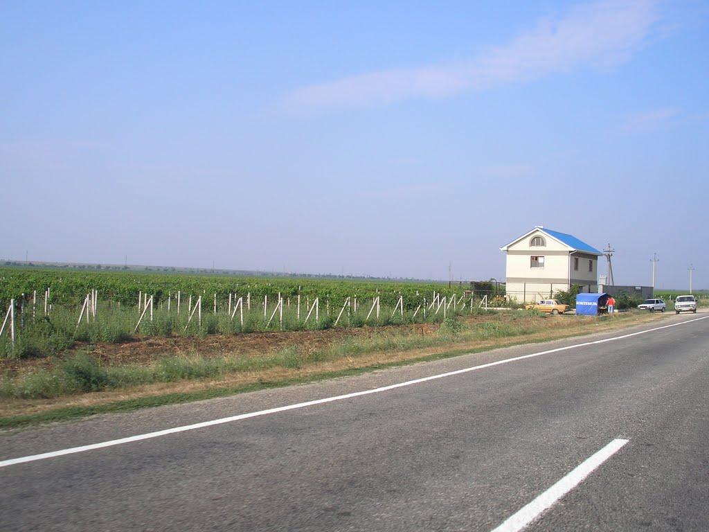 Владиславівка з panoramio.com - Владиславівка