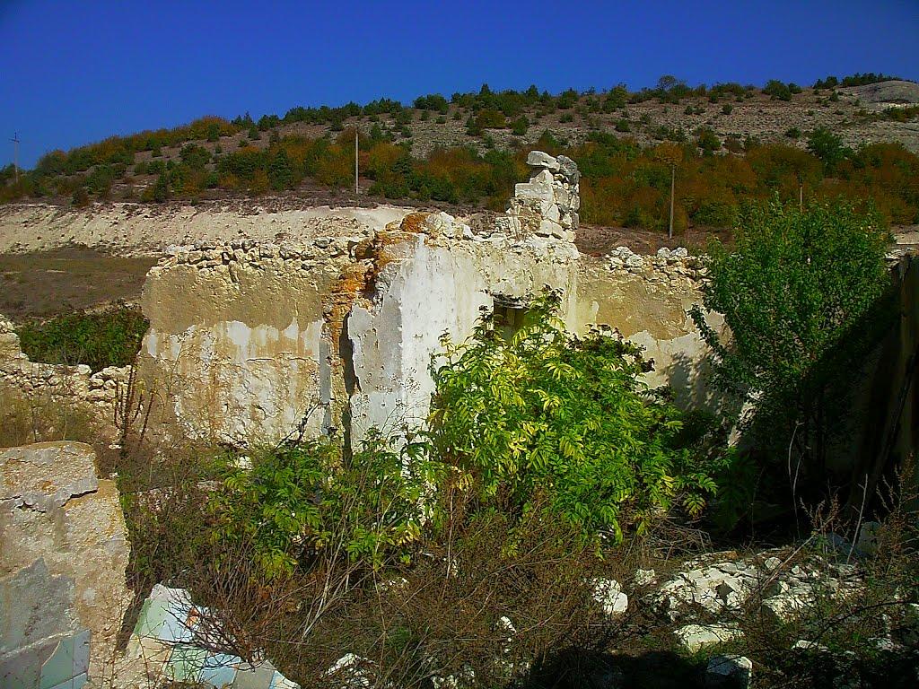 Красний Мак з panoramio.com - Красный Мак