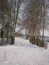 Берездівці з panoramio.com - Берездівці