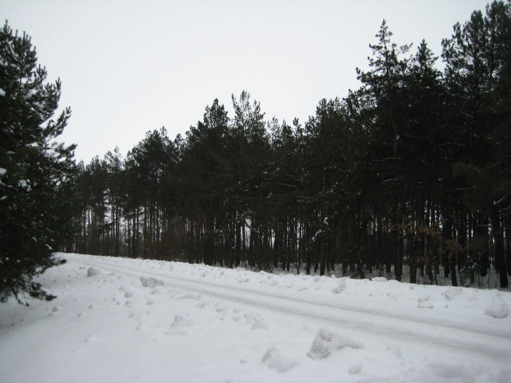 Гути з panoramio.com - Гути